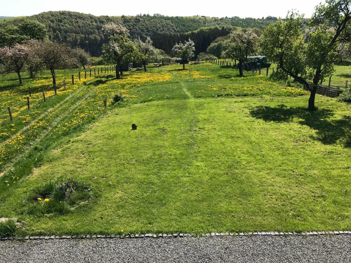 Ferienhaus Am Nationalpark Morsbach  エクステリア 写真